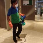 Pest Control services in Ranchi