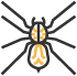 spider